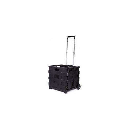 CARRO PLEGABLE 38 x 33 x 36CM MAX. 25KG