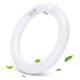 TUBO FLUORESCENTE G10q 22W T9 REDONDO B. FRIO